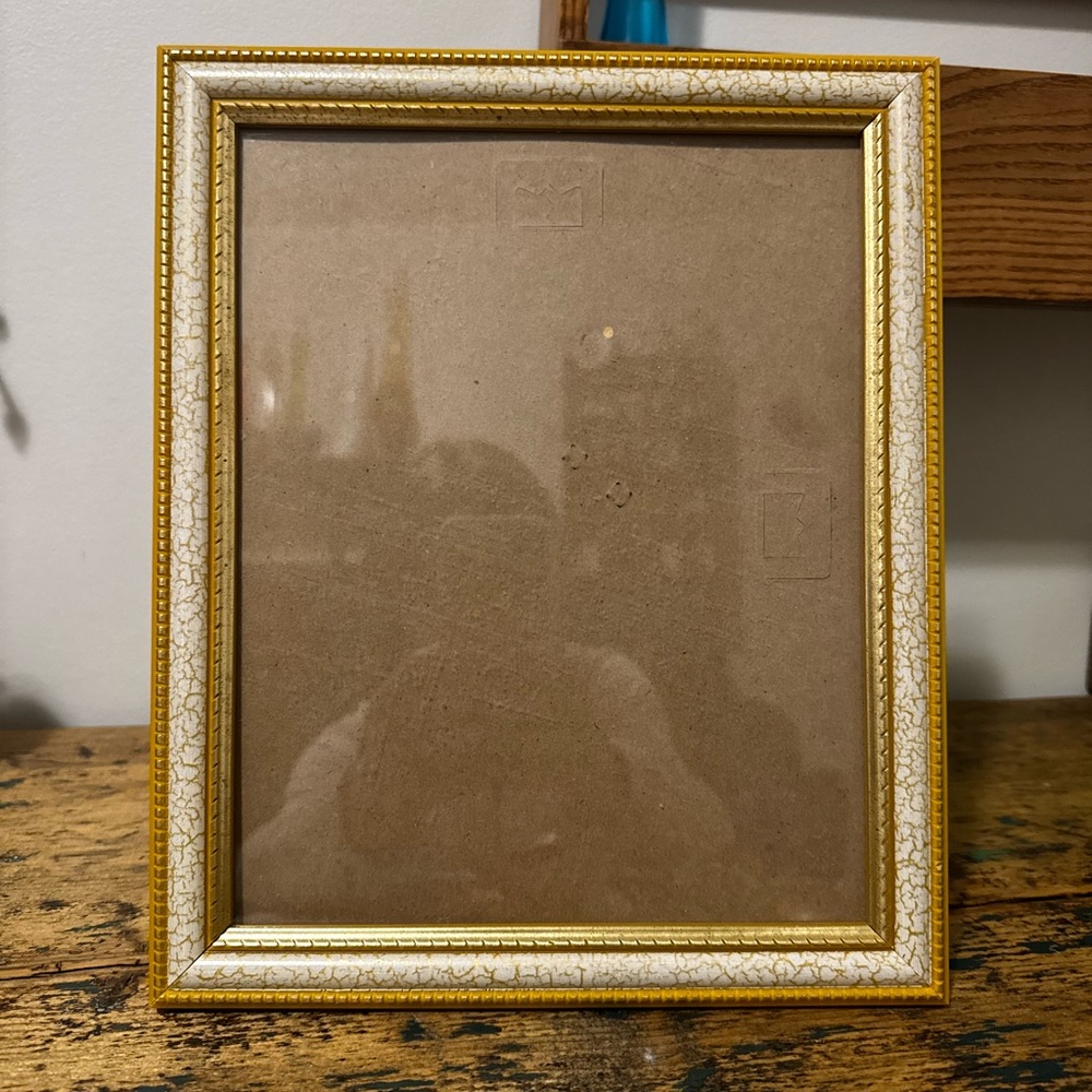 Elegant Gold and Cream Picture Frame